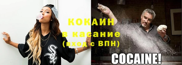 прущий лед Вяземский
