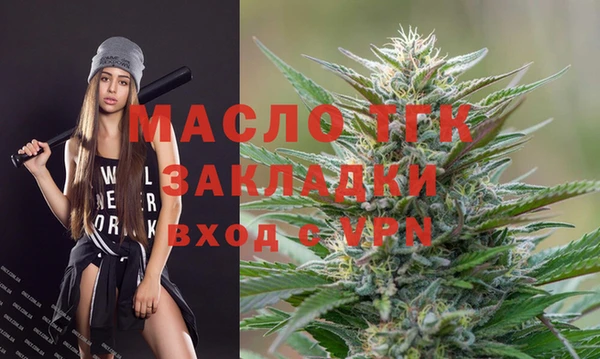 прущий лед Вяземский