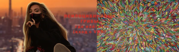 прущий лед Вяземский